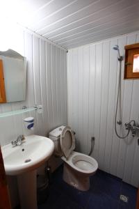 奥林波斯Olympos Doga Pansiyon的一间带卫生间和水槽的浴室