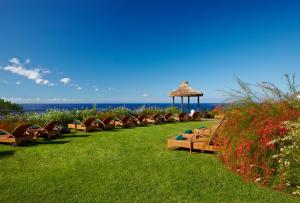 丰沙尔梅尔波尔图湾酒店&度假村的坐在靠近海洋的草地上的一排长椅