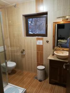 布什泰尼科纳克巴伐利亚酒店的一间带卫生间、水槽和镜子的浴室