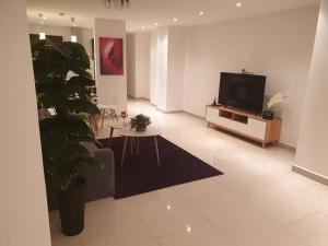 阿尔及尔Appartement Djenane El Malik Hydra的一间配有电视和盆栽植物的客厅