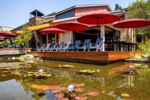 西塔科希德布鲁克洛基酒店的池塘里带椅子和遮阳伞的餐厅