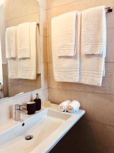 比萨Casa Ciampi Locazione Turistica的浴室配有盥洗盆、镜子和毛巾