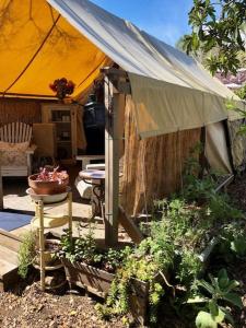 洛杉矶La Boheme Living的一座花园,花园内种植了帐篷和一些植物