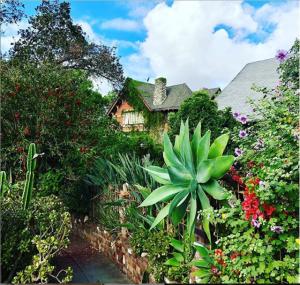 洛杉矶La Boheme Living的鲜花盛开的花园,后方的房子
