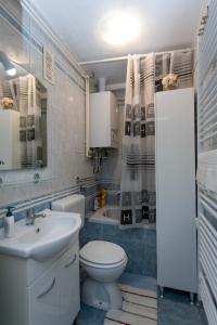 Apartman Lux的一间浴室