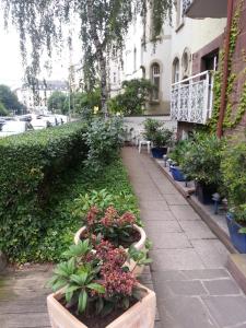 美因河畔法兰克福法兰克福佳倪酒店的建筑一侧有盆栽植物的人行道