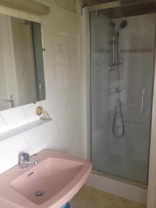 克莱西杜红磨坊乡间旅馆的一间带粉色水槽和淋浴的浴室
