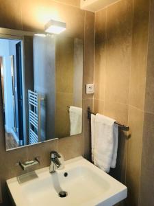 巴黎联合酒店的浴室配有盥洗盆、镜子和毛巾