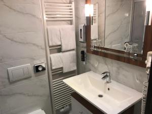 维也纳克尼格酒店的一间带水槽和镜子的浴室
