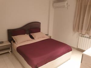 阿尔及尔Appartement Djenane El Malik Hydra的一间卧室配有一张带红色毯子的大床