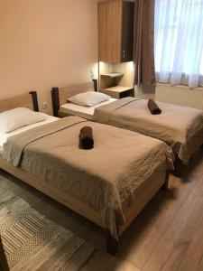 韦切什潘兹欧哈拉兹机场酒店的配有两张床的客房内。