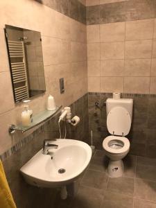 潘兹欧哈拉兹机场酒店的一间浴室