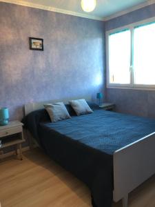 阿雷特Gîte Prat的一间卧室配有一张带蓝色床单的床和一扇窗户。
