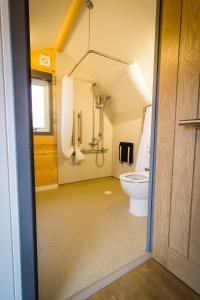 多诺赫Evelix Pods Dornoch的一间带卫生间和淋浴的浴室
