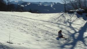 Saint-SigismondChambre d'Hôte ROMARICA的滑雪板上的人,在雪覆盖的斜坡上