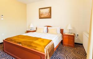 佩奇Sándor Hotel的一间卧室设有一张大床和两个床头柜