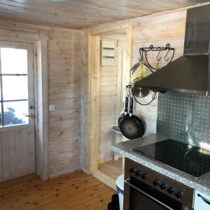 InkooHimalayan cabin Inkoo的厨房配有炉灶和台面