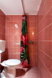 海若克利欧Studio for Couples near Downtown的浴室设有卫生间和红色瓷砖淋浴。