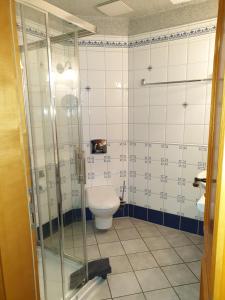 施莱茨Hotel Piccolo的一间带卫生间和玻璃淋浴间的浴室