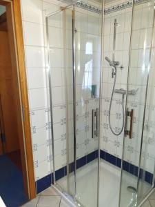 施莱茨Hotel Piccolo的浴室设有玻璃门淋浴