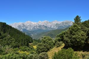 山景或在度假屋看到的山景