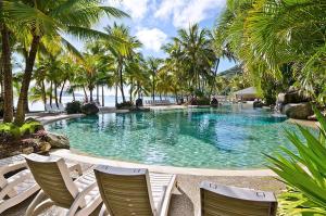 汉密尔顿岛汉密尔顿岛芙蓉006号酒店的一个带椅子和棕榈树的大型游泳池