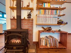 南伊豆町索拉旅馆 的带壁炉的客厅,配有书籍