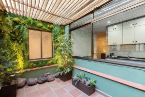 巴塞罗那DV公寓 的楼边有植物的厨房
