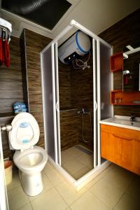 金宁乡大一点民宿的带淋浴、卫生间和盥洗盆的浴室