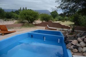 蒂诺加斯塔萨尔瓦多佐罗格里斯山林小屋的一个带长凳的庭院内的蓝色游泳池