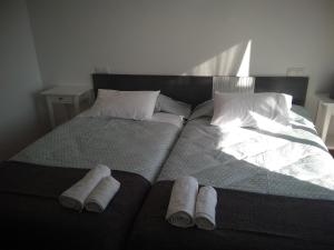 卡萨拉雷纳La casita de Villalarreina的卧室设有两张单人床和毛巾。
