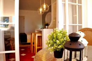 拉戈斯巴卢阿特达维拉公寓式酒店的客厅里摆放着植物的桌子