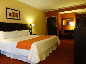 布宜诺斯艾利斯Duomi Hotel Buenos Aires的酒店客房设有一张大床和一张书桌。