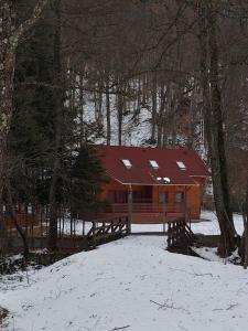 奥多尔黑塞库耶斯克Holiday Guest House的雪中带红色屋顶的小木屋