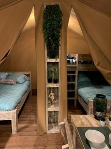 圣马迪拉莫Oh! Campings - Le Clos du Rhône的一间设有两张床和帐篷的房间