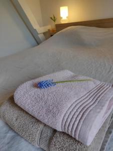 奥德纳尔德Annex的床上的粉红色毛巾和蓝色的花