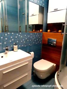波别罗沃Apartament Pobierowo的浴室配有白色水槽和卫生间。