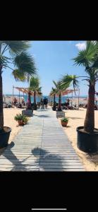 OrfánionOfrinio Beach Cosy & Relaxing的海滩上的一条步道,种有棕榈树和遮阳伞