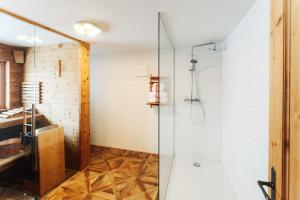 巴德哥依斯恩洛基斯2324公寓的浴室配有淋浴间和盥洗盆