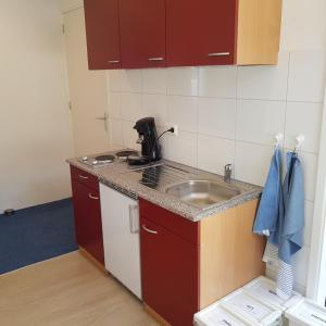 凯尔克拉B&b Broodhuis Kerkrade的厨房配有水槽和台面