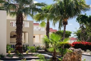 威廉斯塔德利文斯敦扬泰尔度假酒店的一座棕榈树建筑