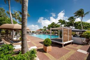 威廉斯塔德利文斯敦扬泰尔度假酒店的棕榈树度假村的游泳池