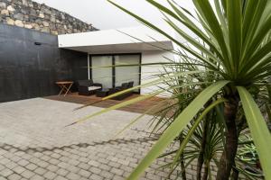 Ribeira ChãAzaleas Guest House的房屋前的棕榈树