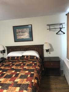 奥斯威戈Evergreen Motel的一间卧室配有一张床和一张带两盏灯的桌子。