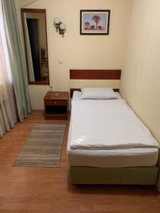 斯特鲁米察伊林登酒店的一间小卧室,配有一张床和镜子