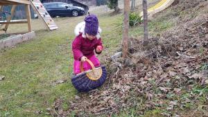 ReinsbergHirmhof的一个小女孩在草地上玩篮子