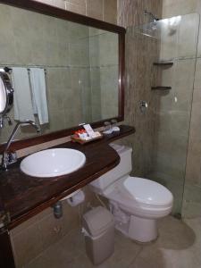 卡塔赫纳卡萨印度卡特琳娜酒店的一间带水槽、卫生间和淋浴的浴室