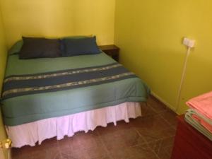 圣佩德罗·德·阿塔卡马Cota6000 Expediciones Dpto A的一间位于绿色客房内的卧室,配有一张床