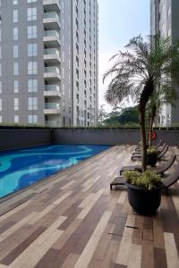 万隆Bacup Studio Apartment @Galeri Ciumbuleuit的一座屋顶游泳池,拥有棕榈树和建筑