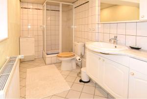 LenzenHaus Löcknitz - Ferienhaus in Lenzen (Elbe)的浴室配有卫生间、盥洗盆和淋浴。